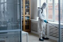 Common Myths About Bed Bug Treatment Debunked