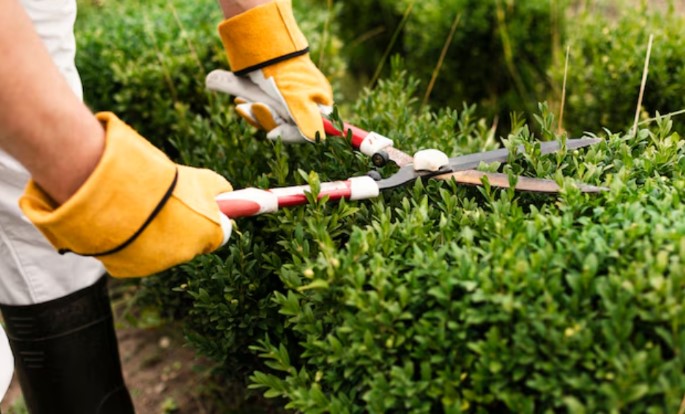 From Safety to Style: Essential Services for a Perfect Outdoor Space